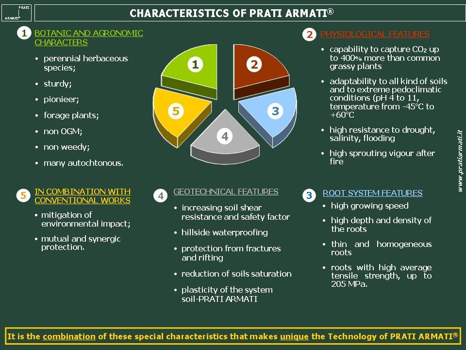 VETIVER and PRATI ARMATI® are different technologies. PRATI ARMATI® is a strong, low cost, very strong innovation if compared with the Vetiver System. VETIVER and PRATI ARMATI® are different technologies. PRATI ARMATI® is a strong, low cost, very strong innovation if compared with the Vetiver System.