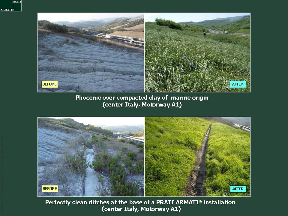 We can stop EROSION We can stop EROSION