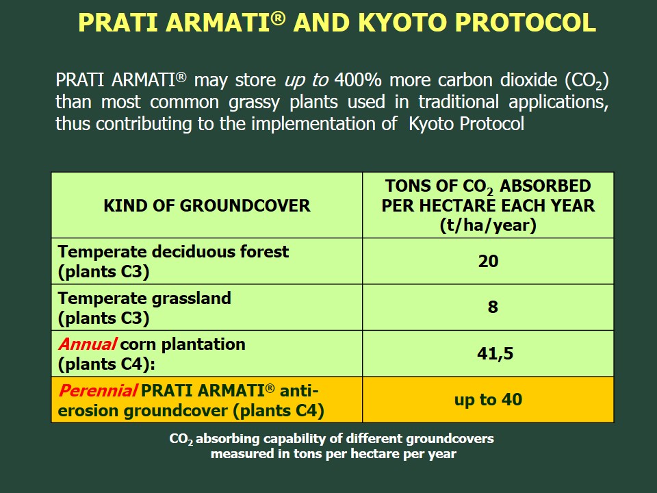 KYOTO PROTOCOL and PRATI ARMATI® mainly uses C4 plants, characterized by a particularly photosynthesis with higher absorption of CO2 from the atmosphere. The NATURE saves itself. KYOTO PROTOCOL and PRATI ARMATI® mainly uses C4 plants, characterized by a particularly photosynthesis with higher absorption of CO2 from the atmosphere. The NATURE saves itself.