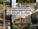 RINATURALIZZAZIONE DELLE SCARPATE IN PORFIDI E GRANITI DELLA DIGA DI ORGOSOLO. I PRATI ARMATI hanno resistito ad una tremenda alluvione.