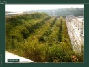 RECLAMATION-RECOVERY OF QUARRIES-MINES-LANDFILLS
