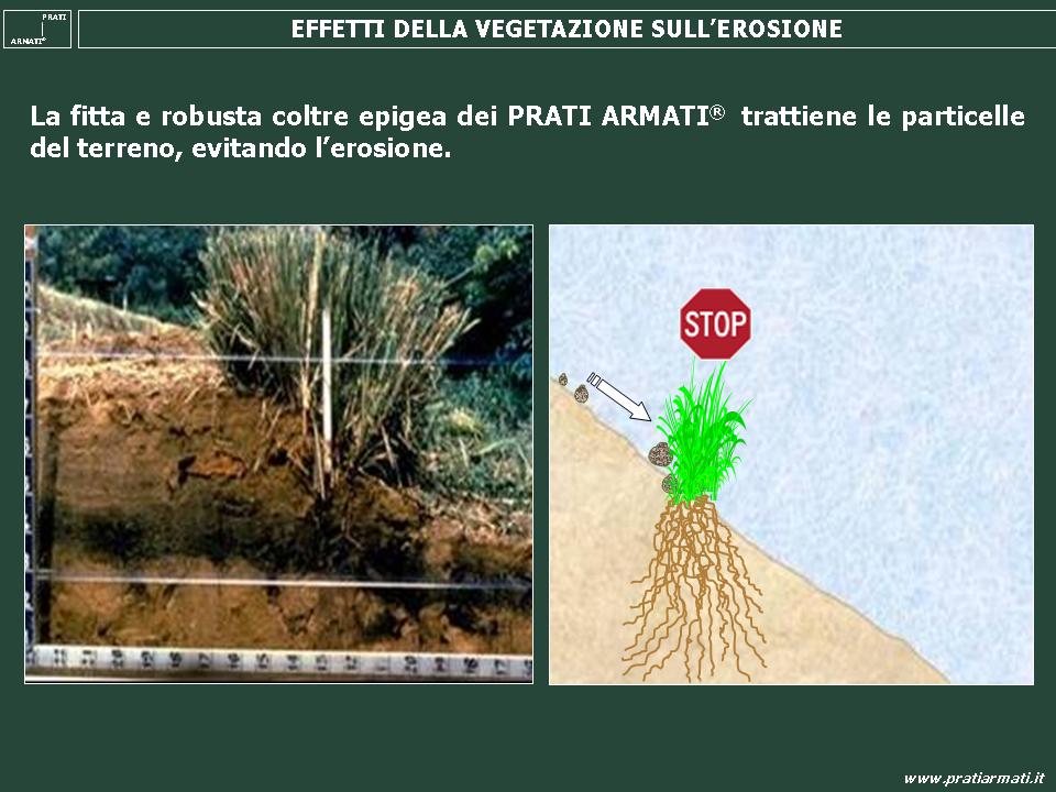 PROTEZIONE SUPERFICIALE DEI VERSANTI PROTEZIONE SUPERFICIALE DEI VERSANTI