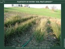 Plasticity of roots-soil system