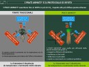 PIANTE C3-C4: I PRATI ARMATI® E IL PROTOCOLLO DI KYOTO