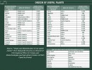 ORIGIN OF USEFUL PLANTS