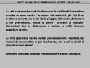Diapositiva1