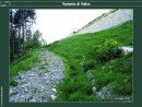 Diapositiva13