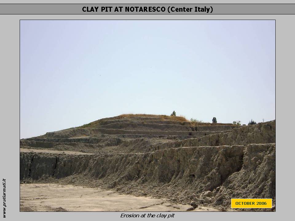 CLAY QUARRY EROSION CONTROL, FLOWERING AND RENATURATION. PRATI ARMATI® roots are capable of penetrating even highly compacted clay blocks. CLAY QUARRY (Central Italy). PRATI ARMATI® cohabits perfectly with local flowering species. The quarry slopes show no further signs of erosion. A perfect ecological reinstatement of the part of clay quarry treated with PRATI ARMATI® was made. CLAY QUARRY EROSION CONTROL, FLOWERING AND RENATURATION. PRATI ARMATI® roots are capable of penetrating even highly compacted clay blocks. CLAY QUARRY (Central Italy). PRATI ARMATI® cohabits perfectly with local flowering species. The quarry slopes show no further signs of erosion. A perfect ecological reinstatement of the part of clay quarry treated with PRATI ARMATI® was made.