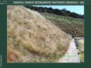 Diapositiva17