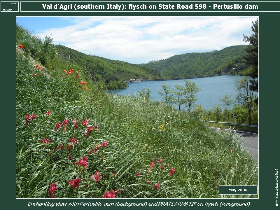 BLUE-GREY MARLS CLAYS AND FLYSCH at 900 m: Basilicata region. These are very dificulty litotypes and climates to be regreened and flowered, stopping erosion BLUE-GREY MARLS CLAYS AND FLYSCH at 900 m: Basilicata region. These are very dificulty litotypes and climates to be regreened and flowered, stopping erosion