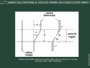 Diapositiva2