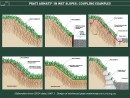 Diapositiva2