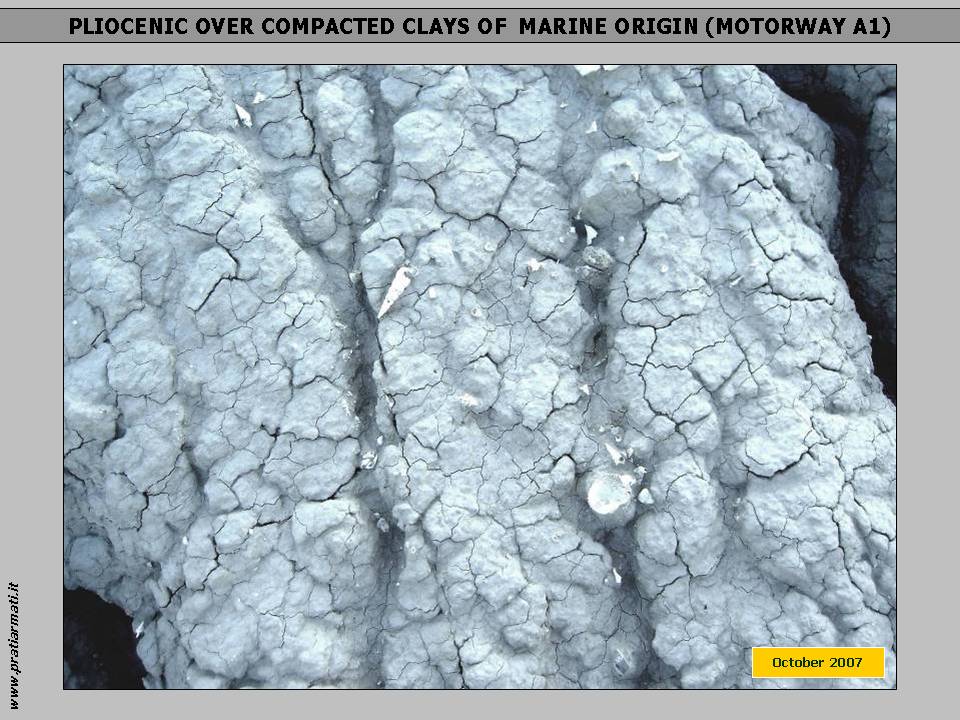 PLIOCENIC CLAYS OF MARINE ORIGIN : we CAN STOP EROSION on ANY pedoclimatic conditions with a guaranteed full service, based on perennial, deep rooting herbaceous plants. PLIOCENIC CLAYS OF MARINE ORIGIN : we CAN STOP EROSION on ANY pedoclimatic conditions with a guaranteed full service, based on perennial, deep rooting herbaceous plants.