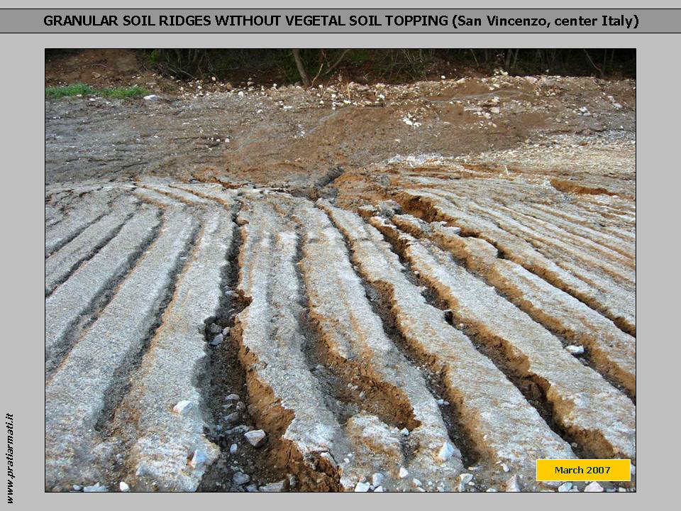 GRANULAR SOIL: we CAN STOP EROSION on ANY pedoclimatic conditions. This is a guaranteed full service, based on herbaceous perennial deep rooting plants. GRANULAR SOIL: we CAN STOP EROSION on ANY pedoclimatic conditions. This is a guaranteed full service, based on herbaceous perennial deep rooting plants.