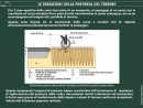 Diapositiva2