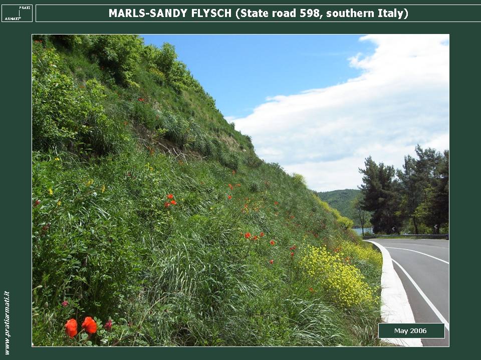 FLYSCH Val d'Agri (southern Italy) Pertusillo dam Flowered and Regreened. The flowers were choosen among the autoctonous flowers of the zone. FLYSCH Val d'Agri (southern Italy) Pertusillo dam Flowered and Regreened. The flowers were choosen among the autoctonous flowers of the zone.