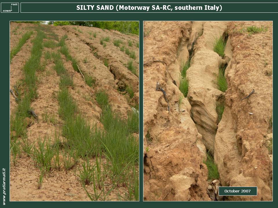SILTY SANDS: we CAN STOP EROSION on ANY pedoclimatic conditions. This is a guaranteed full service, based on herbaceous perennial deep rooting plants. SILTY SANDS: we CAN STOP EROSION on ANY pedoclimatic conditions. This is a guaranteed full service, based on herbaceous perennial deep rooting plants.