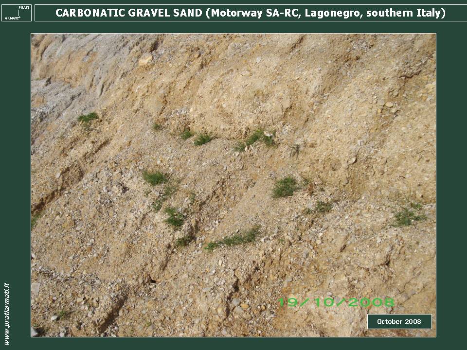 CARBONATIC GRAVEL SAND: we CAN STOP EROSION on ANY pedoclimatic conditions. This is a guaranteed full service, based on herbaceous perennial deep rooting plants. CARBONATIC GRAVEL SAND: we CAN STOP EROSION on ANY pedoclimatic conditions. This is a guaranteed full service, based on herbaceous perennial deep rooting plants.