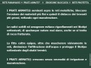 Diapositiva3