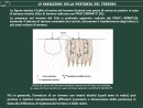 Diapositiva3