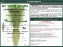 Diapositiva3