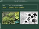 Origine delle piante utili