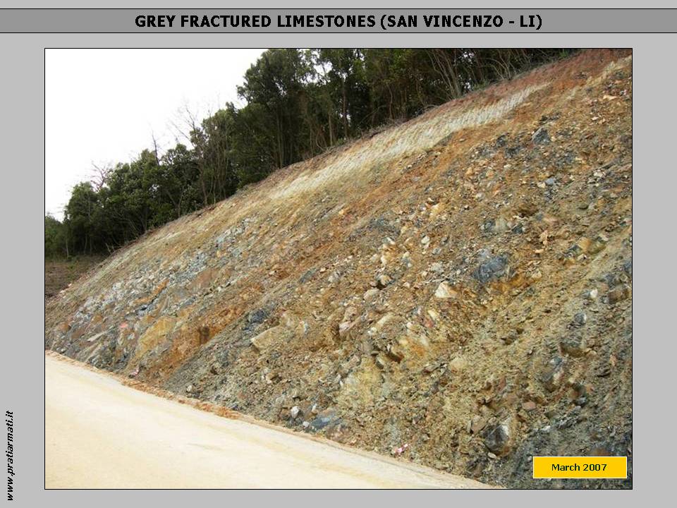 LIMESTONES, GREY and FRACTURED: erosion control and slopes regreening with herbaceous perennial deep rooting plants that grow on any lithotype and climate. LIMESTONES, GREY and FRACTURED: erosion control and slopes regreening with herbaceous perennial deep rooting plants that grow on any lithotype and climate.