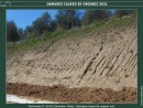 TOPSOIL: NEGATIVE EFFECTS OF TOPSOIL