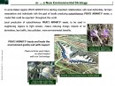 Diapositiva4