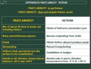 VETIVER vs PRATI ARMATI®. PRATI ARMATI® HAVE NOTHING TO DO WITH THE VETIVER SYSTEM