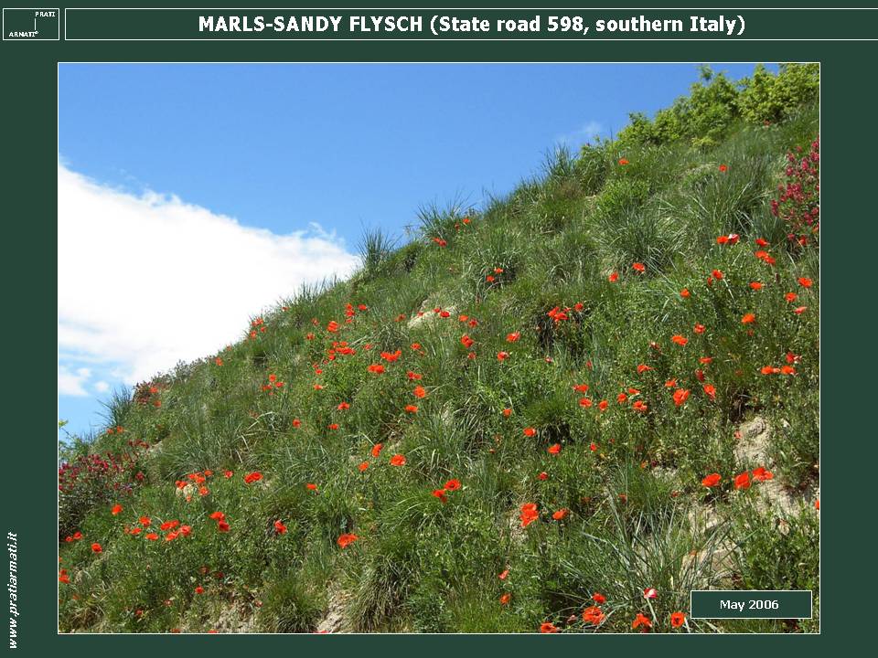 FLYSCH Val d'Agri (southern Italy) Pertusillo dam Flowered and Regreened. The flowers were choosen among the autoctonous flowers of the zone. FLYSCH Val d'Agri (southern Italy) Pertusillo dam Flowered and Regreened. The flowers were choosen among the autoctonous flowers of the zone.