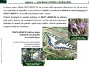 Diapositiva4
