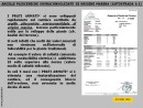 Diapositiva4