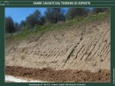 TERRENO VEGETALE ? NO GRAZIE !