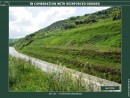 Diapositiva4