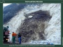 Planting techniques: hydroseeding by rope climbers