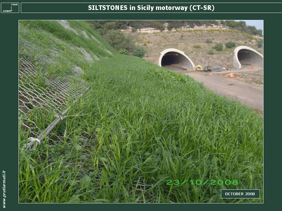 SILTSTONES IN SICILY MOTORWAY: we CAN STOP EROSION on ANY pedoclimatic conditions with a guaranteed full service, based on perennial, deep rooting herbaceous plants. SILTSTONES IN SICILY MOTORWAY: we CAN STOP EROSION on ANY pedoclimatic conditions with a guaranteed full service, based on perennial, deep rooting herbaceous plants.