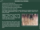 Diapositiva6