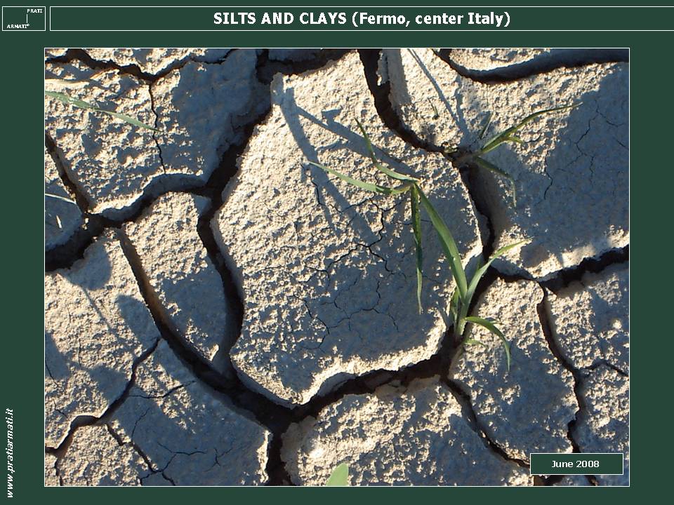 SILTY-CLAY: we CAN STOP EROSION on ANY pedoclimatic conditions. This is a guaranteed full service, based on herbaceous perennial deep rooting plants. SILTY-CLAY: we CAN STOP EROSION on ANY pedoclimatic conditions. This is a guaranteed full service, based on herbaceous perennial deep rooting plants.