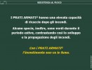 Diapositiva7