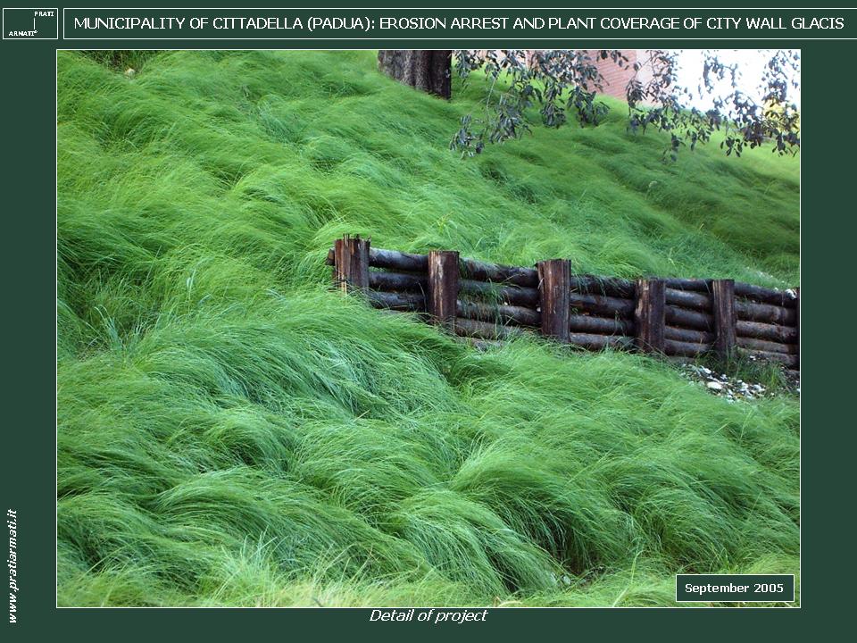 SUPERFICIAL LANDSLIDE-EROSION SUPERFICIAL LANDSLIDE-EROSION