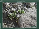 Diapositiva7