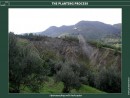 Planting techniques: hydroseeding by helicopters