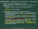 Diapositiva8