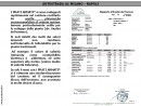 Diapositiva8