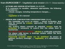 Diapositiva8