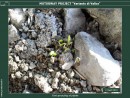 Diapositiva9