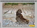 TERRE GRANULARI: RILEVATI (TOUT VENANT) SENZA TERRENO VEGETALE