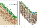 SISTEMI-MATERIALI-MANUFATTI-ANTIEROSIVI-TECNICHE-ANTIEROSIONE-su scarpate in bagnato
