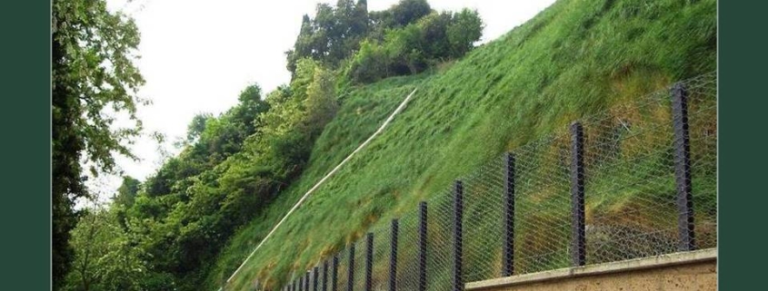 ORVIETONEWS.IT - PER LA PRIMA VOLTA IN UMBRIA UNA TECNOLOGIA INNOVATIVA PER SALVAGUARDARE L'AMBIENTE